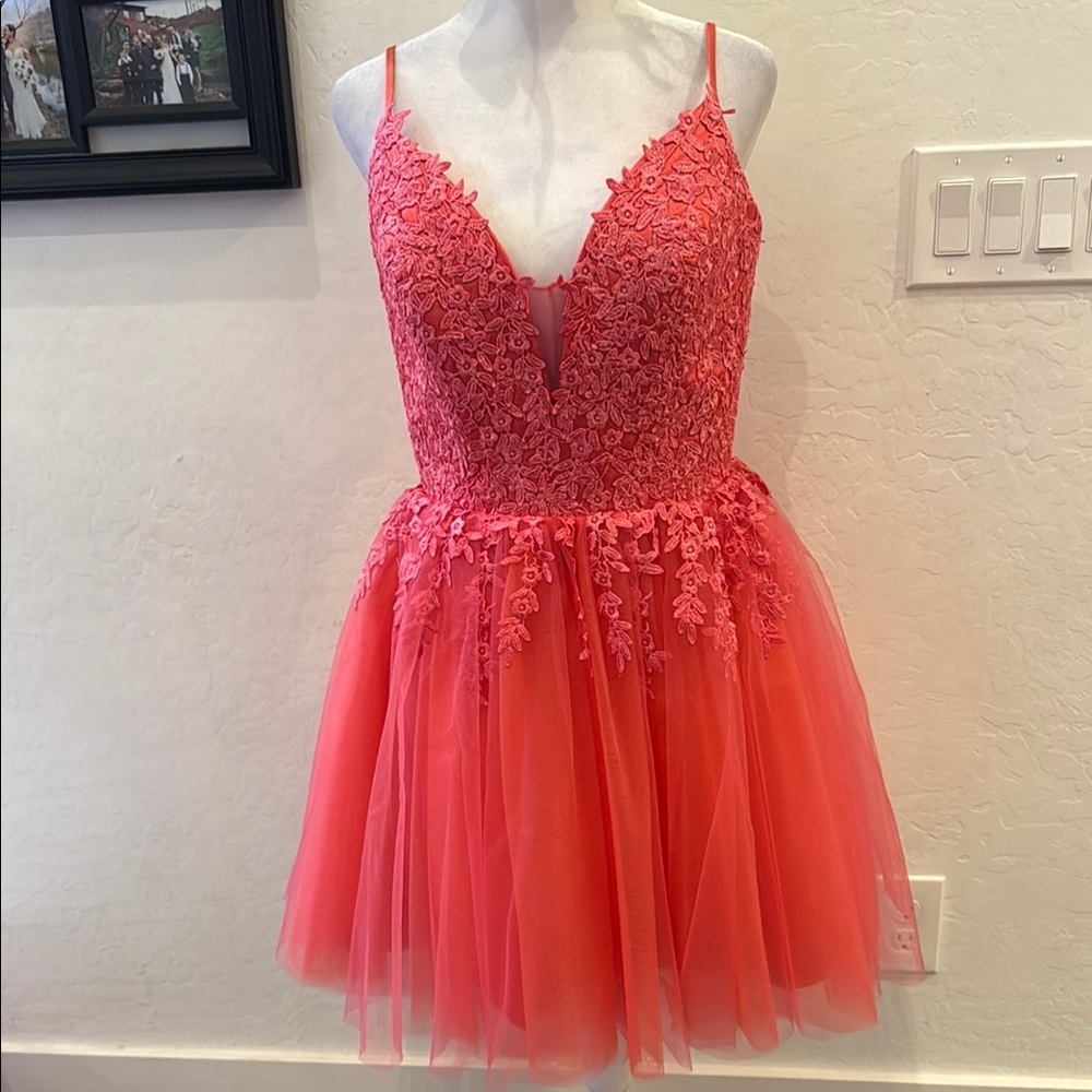 NWOT Coral Lace and Tulle Mini Dress